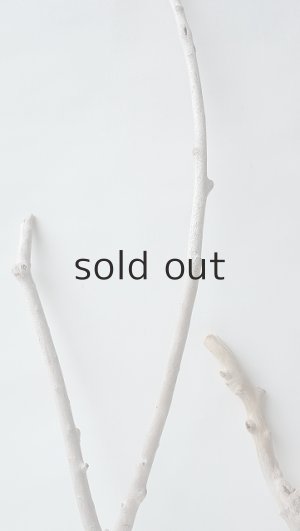 画像3: 小枝流木セット