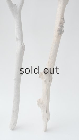 画像6: 小枝流木セット