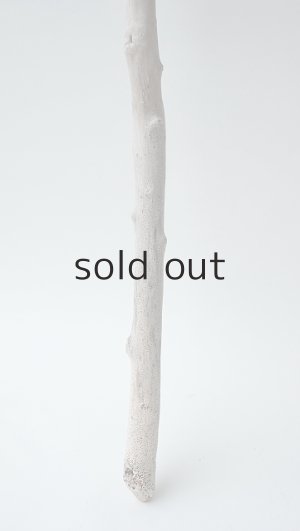 画像2: 小枝流木セット