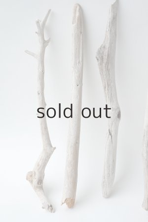 画像2: 小枝流木セット