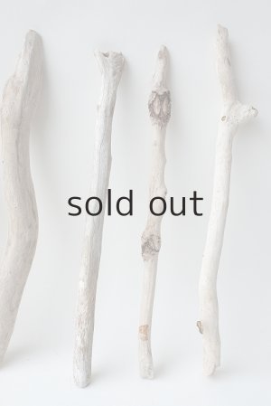 画像4: 小枝流木セット