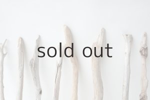 画像5: 小枝流木セット