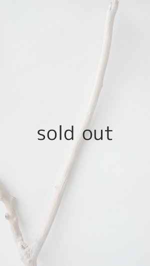 画像5: 小枝流木セット