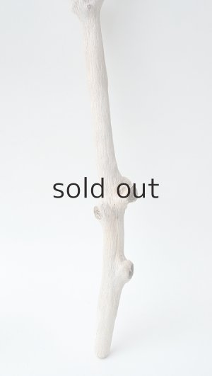 画像4: 小枝流木セット