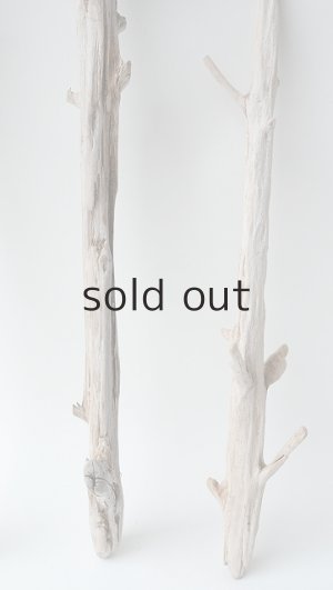 画像6: 小枝流木セット