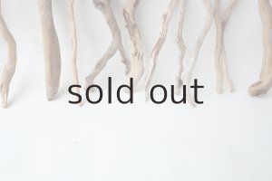 画像6: 流木根セット