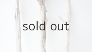 画像3: 小枝流木セット