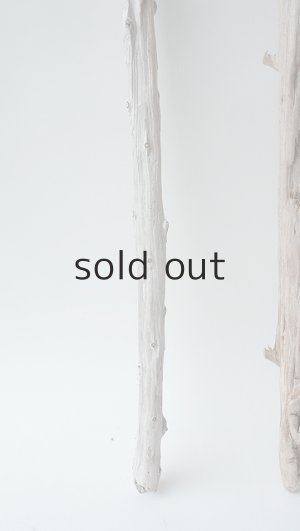 画像5: 小枝流木セット