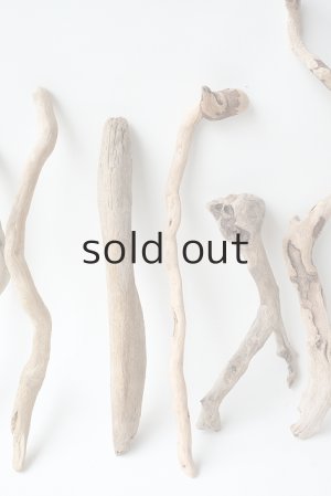 画像3: 流木根セット