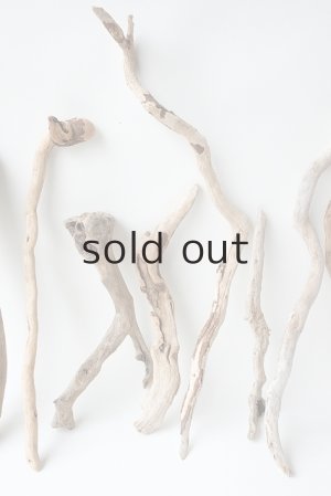 画像4: 流木根セット