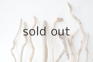 画像7: 流木根セット