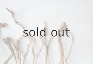 画像8: 流木根セット