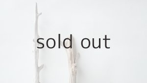 画像4: 小枝流木セット