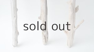 画像2: 小枝流木セット