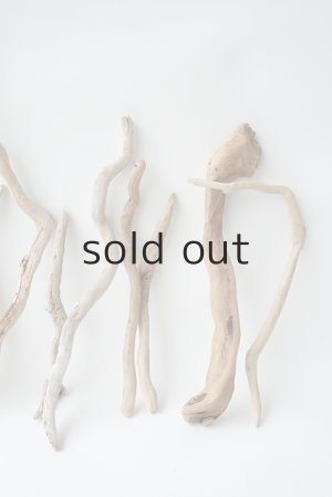 画像5: 流木根セット