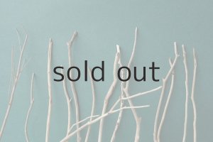 画像6: 小枝流木セット