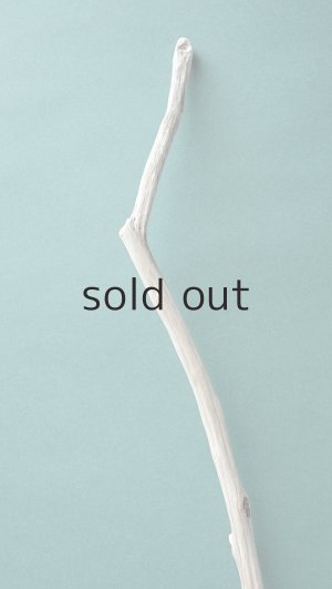 画像5: 小枝流木セット