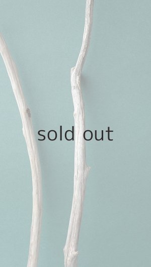 画像3: 小枝流木セット