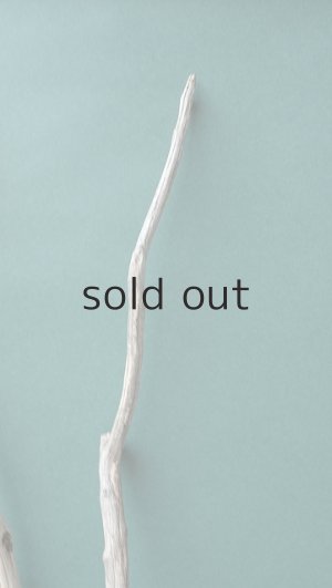 画像4: 小枝流木セット