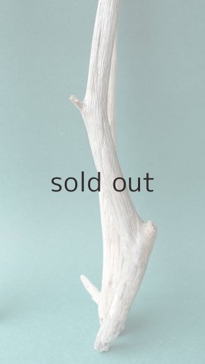 画像6: 小枝流木セット