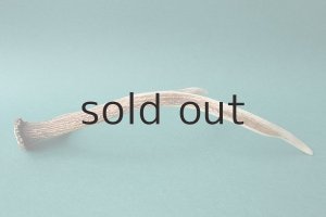 画像5: デコール用二ホンジカの角