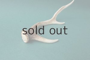 画像4: デコール用二ホンジカの角