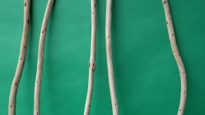 画像3: 棒流木セット