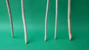 画像2: 棒流木セット