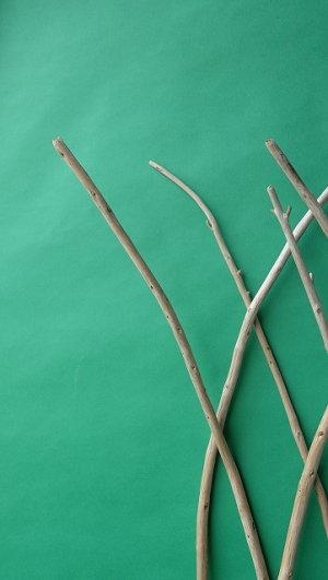 画像5: 棒流木セット