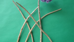 画像4: 棒流木セット