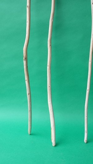 画像5: 棒流木セット