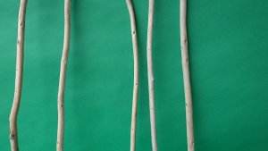 画像3: 棒流木セット