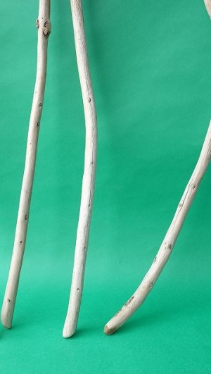 画像6: 棒流木セット