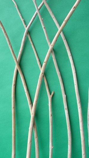 画像3: 棒流木セット