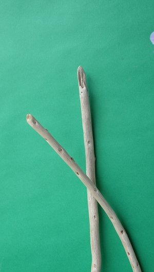 画像5: 棒流木セット