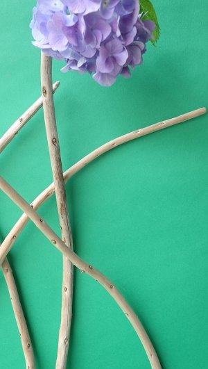 画像8: 棒流木セット