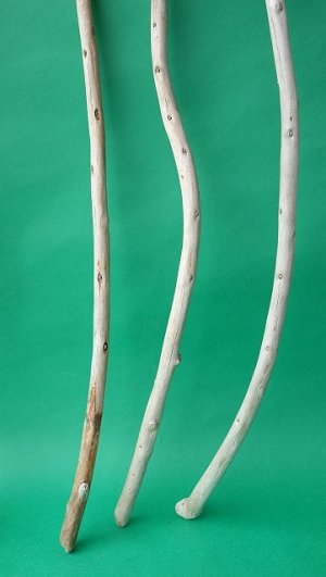 画像3: 棒流木セット