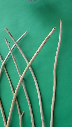 画像6: 棒流木セット