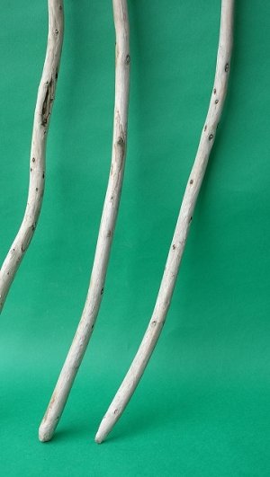 画像3: 棒流木セット