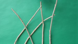 画像4: 棒流木セット