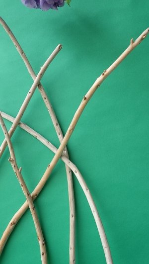 画像5: 棒流木セット