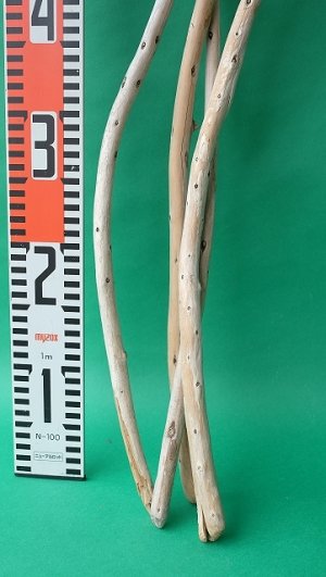 画像6: 棒流木セット