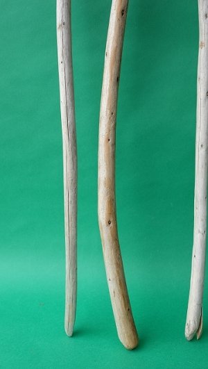 画像2: 棒流木セット