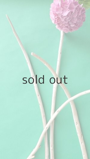 画像5: 棒流木セット