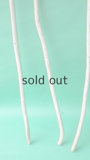 画像2: 棒流木セット