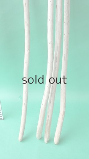 画像6: 棒流木セット