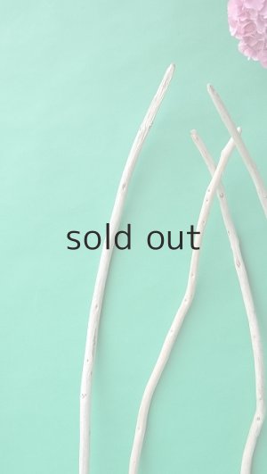 画像5: 棒流木セット