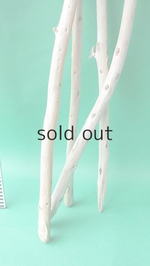 画像6: 棒流木セット