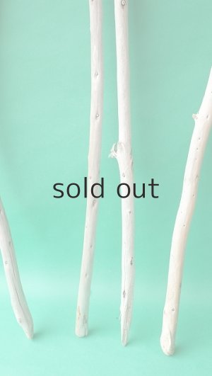 画像2: 棒流木セット