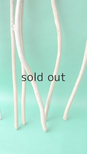 画像6: 棒流木セット